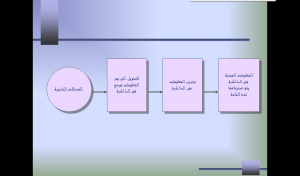 The Department of Education and Psychology at the College of Education Organizes a Course Entitled ‘Memory and Memorization’